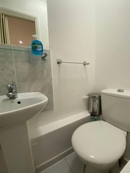 F2- Basement Studio Fits 1 Near Paddington London Eksteriør bilde